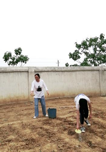 新密市平陌镇 牛岭小学 韩松焕 给班级蔬菜实践基地浇水