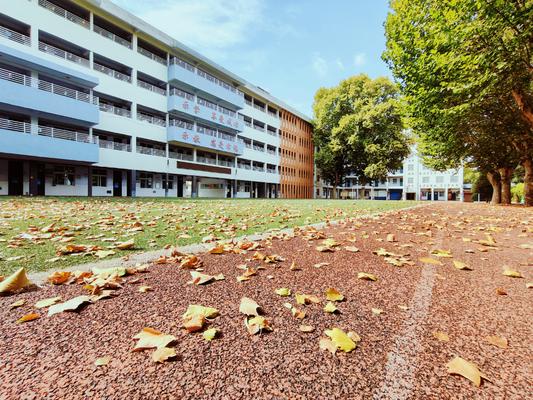 这才是秋天应有的模样——上街区中心路小学校园秋景.jpg